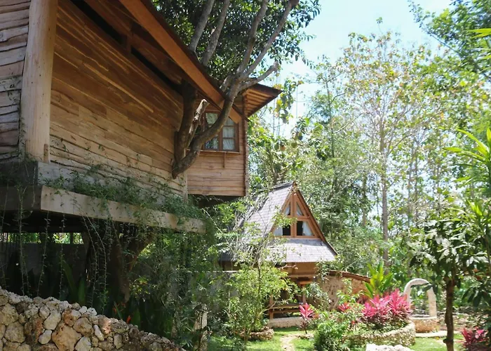 Roots Tree House - Boutique - Lodge *
