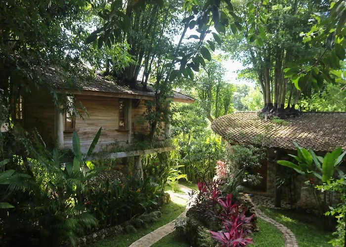 Roots Tree House - Boutique -