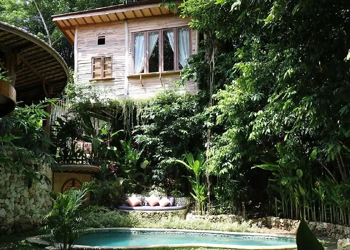 Roots Tree House - Boutique -