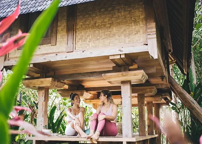 Roots Tree House - Boutique - Lodge