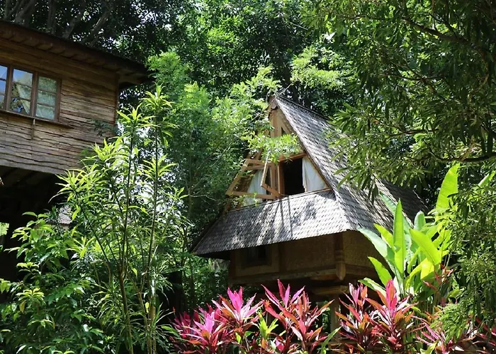 Roots Tree House - Boutique -