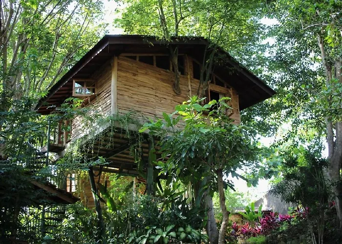 Roots Tree House - Boutique - *
