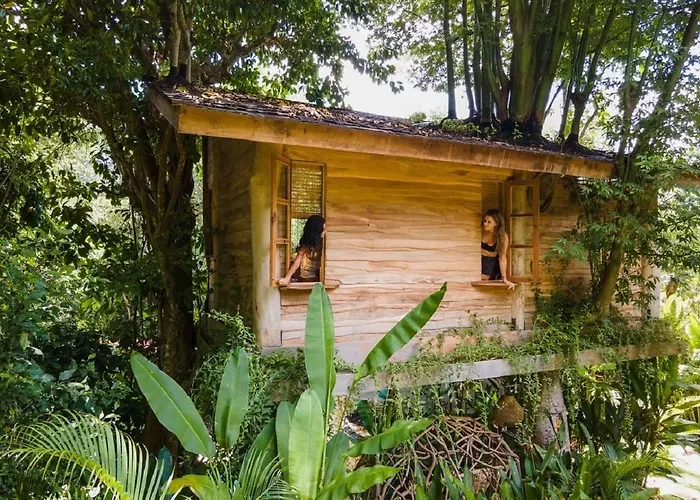 Lodge Roots Tree House - Boutique -
