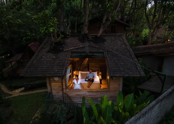 Roots Tree House - Boutique - Lodge