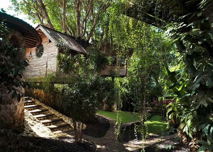 Roots Tree House - Boutique - Lodge