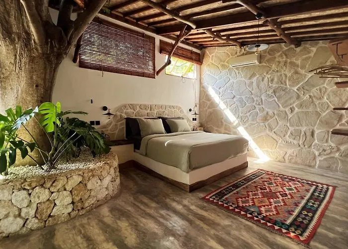 Roots Tree House - Boutique - Lodge *