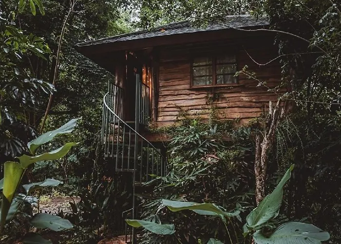 Roots Tree House - Boutique - Lodge