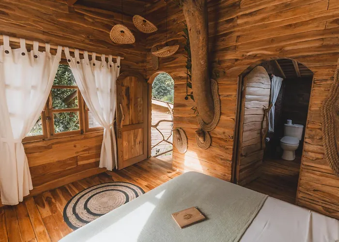 Roots Tree House - Boutique -