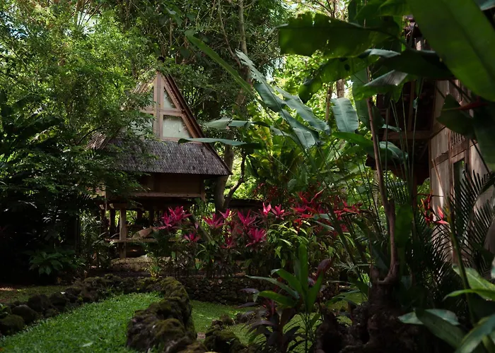 Roots Tree House - Boutique - Lodge *