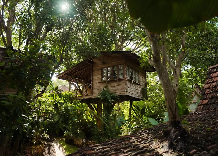 Roots Tree House - Boutique - 山林小屋