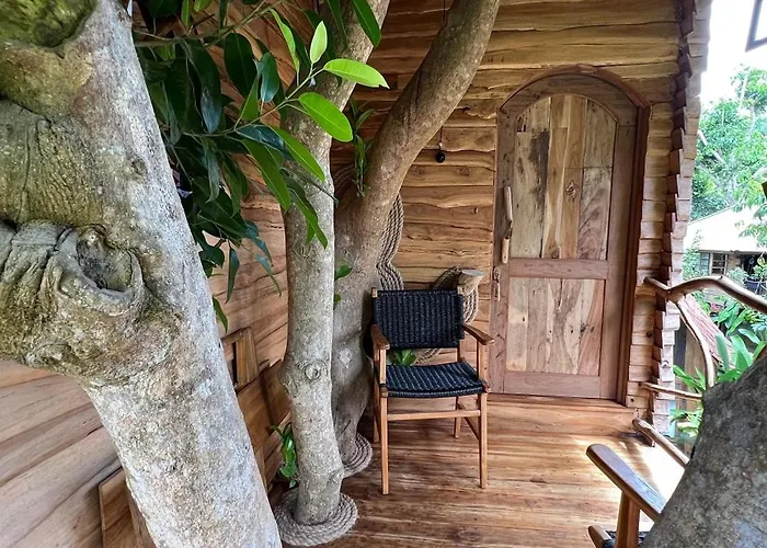 Roots Tree House - Boutique -
