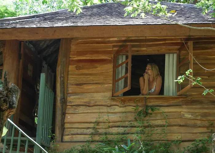 Lodge Roots Tree House - Boutique - *
