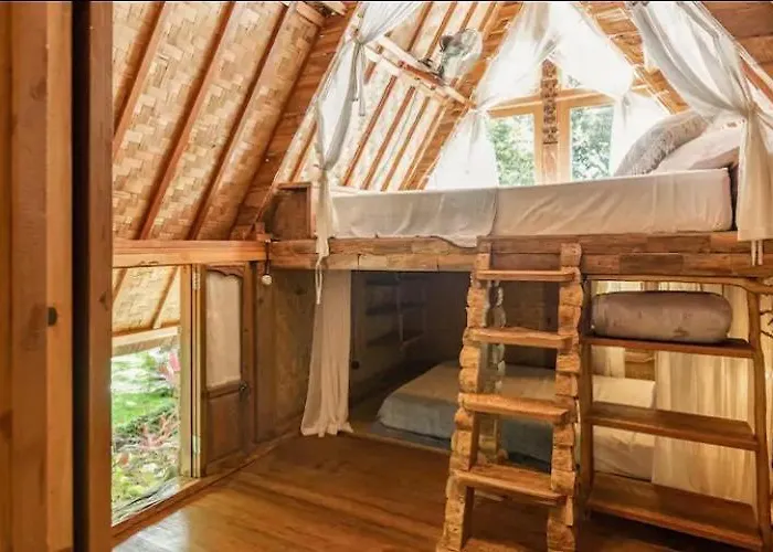 Roots Tree House - Boutique - Lodge
