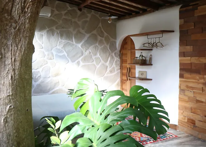Roots Tree House - Boutique - Lodge *