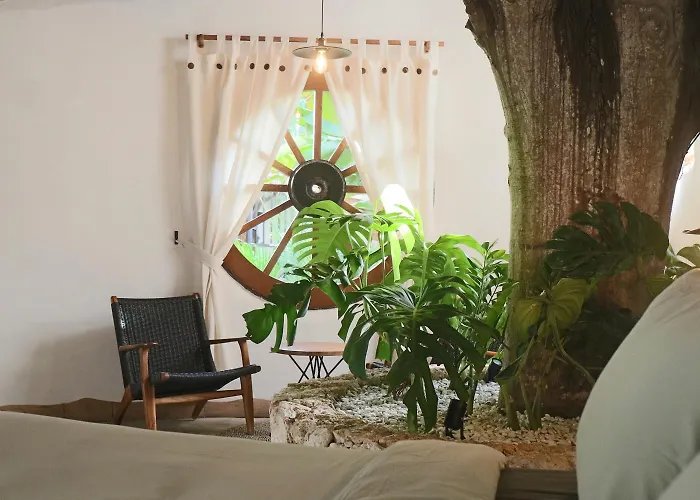 Roots Tree House - Boutique - Lodge