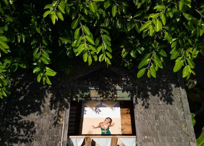 Roots Tree House - Boutique - Lodge