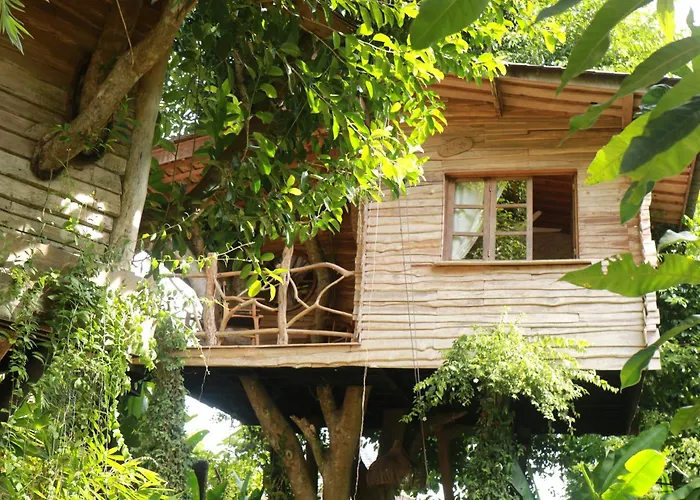 Roots Tree House - Boutique - * Uluwatu