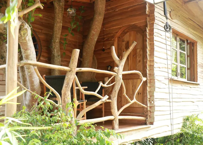 Roots Tree House - Boutique -