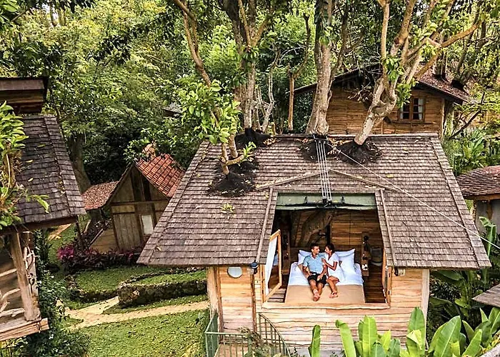 Roots Tree House - Boutique -
