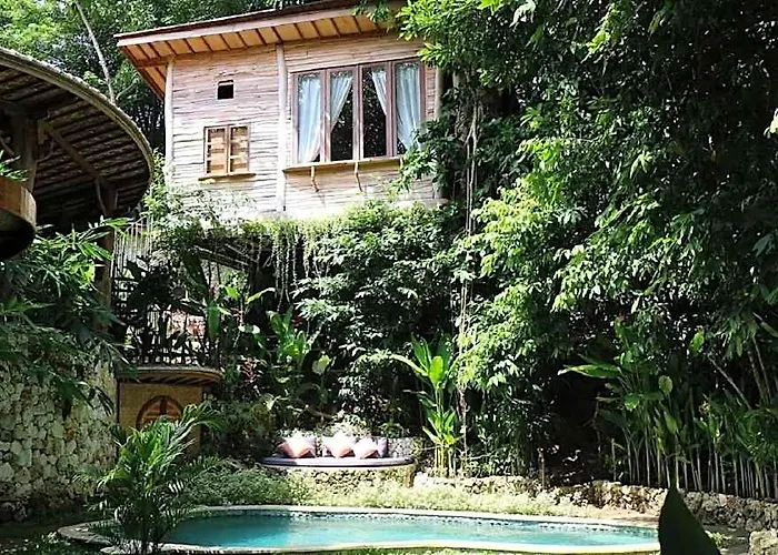 Roots Tree House - Boutique - *