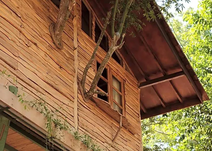 Roots Tree House - Boutique - * Uluwatu