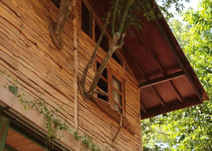 Roots Tree House - Boutique - Lodge *